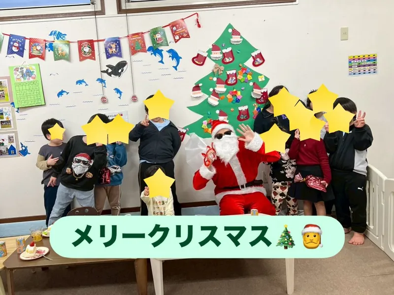 イルカ_写真