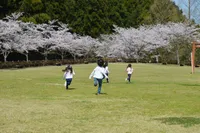 ワイ (y) くまーず未来ワイ (y) ベアーズ刈谷_写真