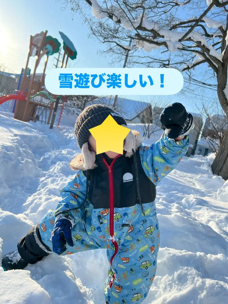 イルカ_写真