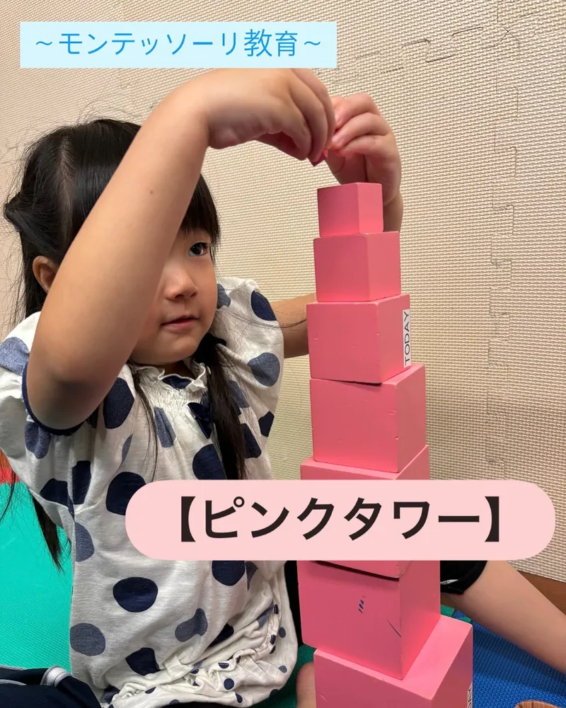 トゥデイ イズ ニューライフ (TODAY is New Life) 古正寺_写真