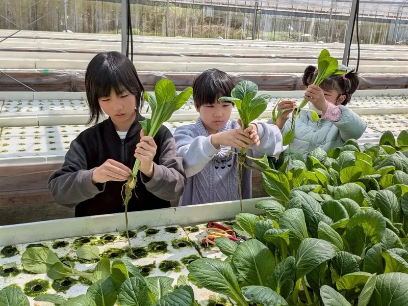 きっず・もも_写真