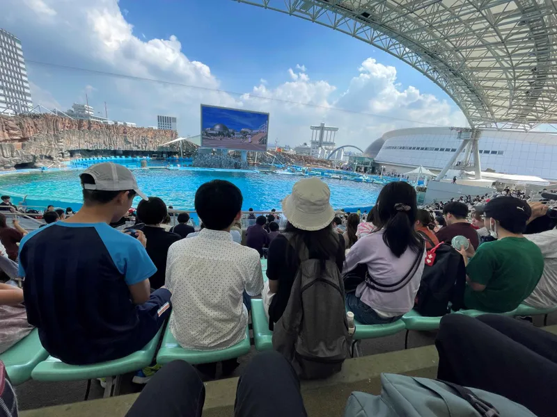 リオスマイル_写真