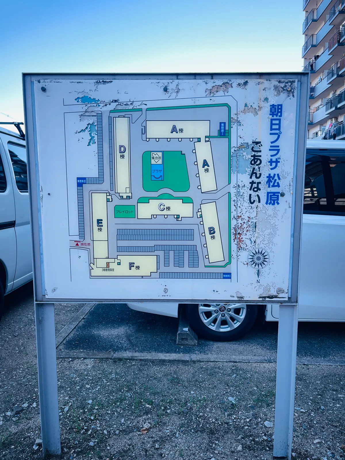 育みの写真 5