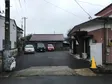 あおいそら一歩 の写真