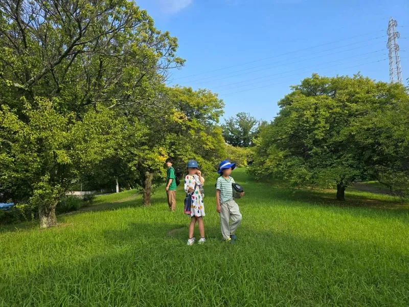 オープンセサミ (OPEN SESAME)_写真
