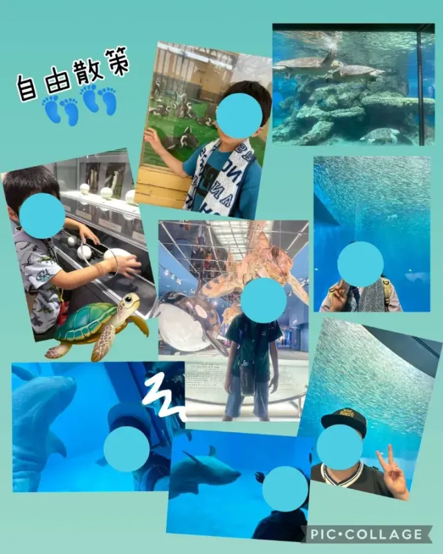 【イベント充実】水族館・カラオケ・園芸・クッキング