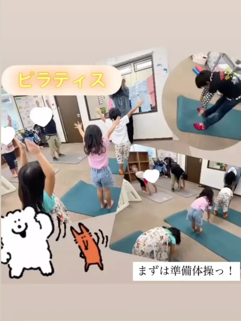 イルカ_写真