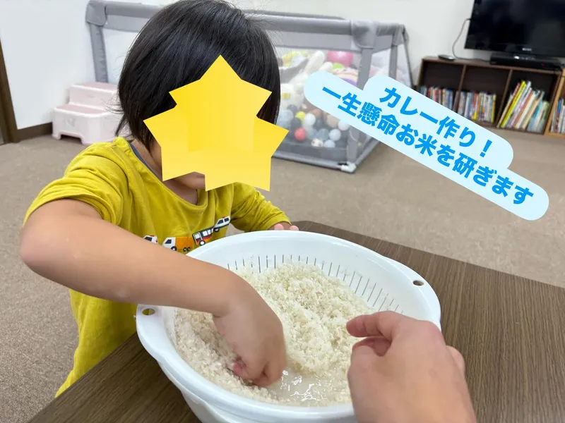 イルカ_写真