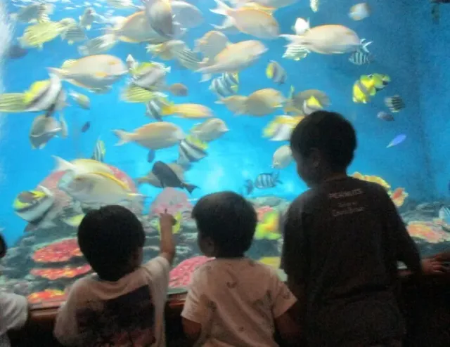 【お出かけ】科学館・博物館・公園