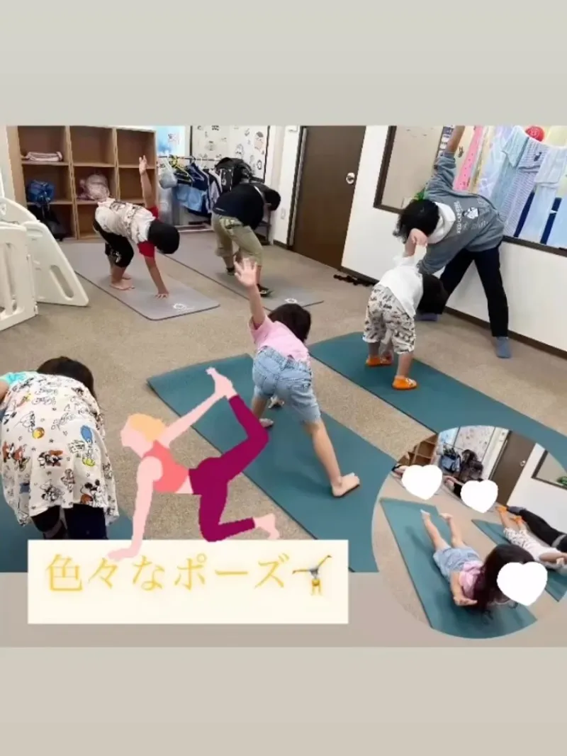 イルカ_写真