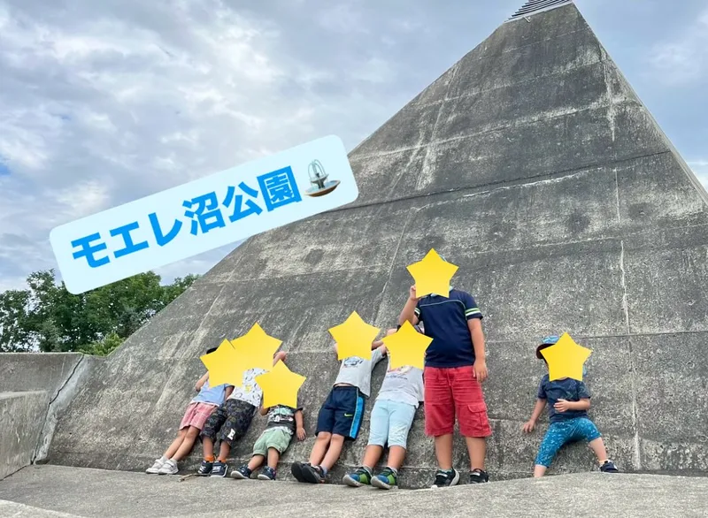 イルカ_写真