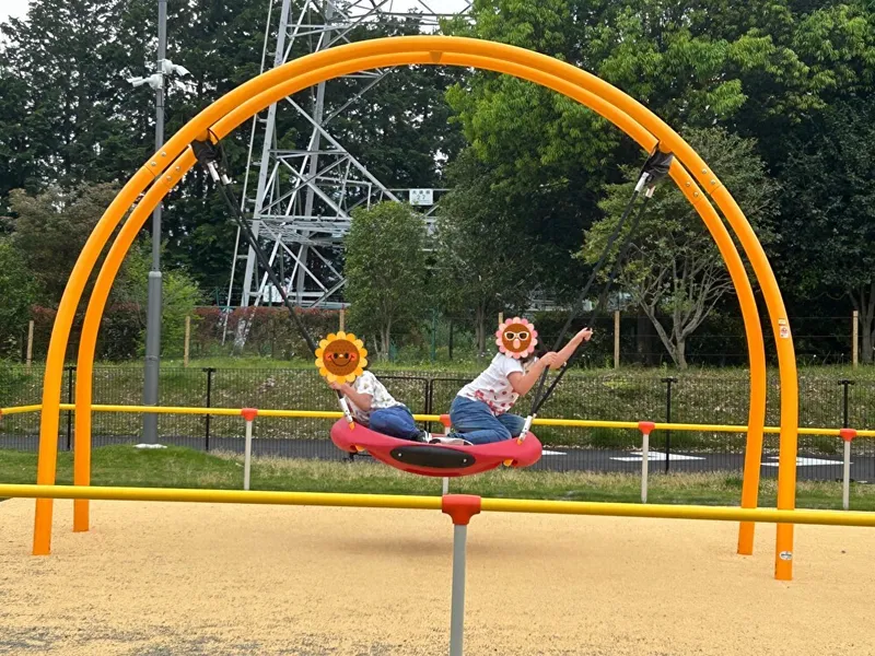 どんぐりん_写真