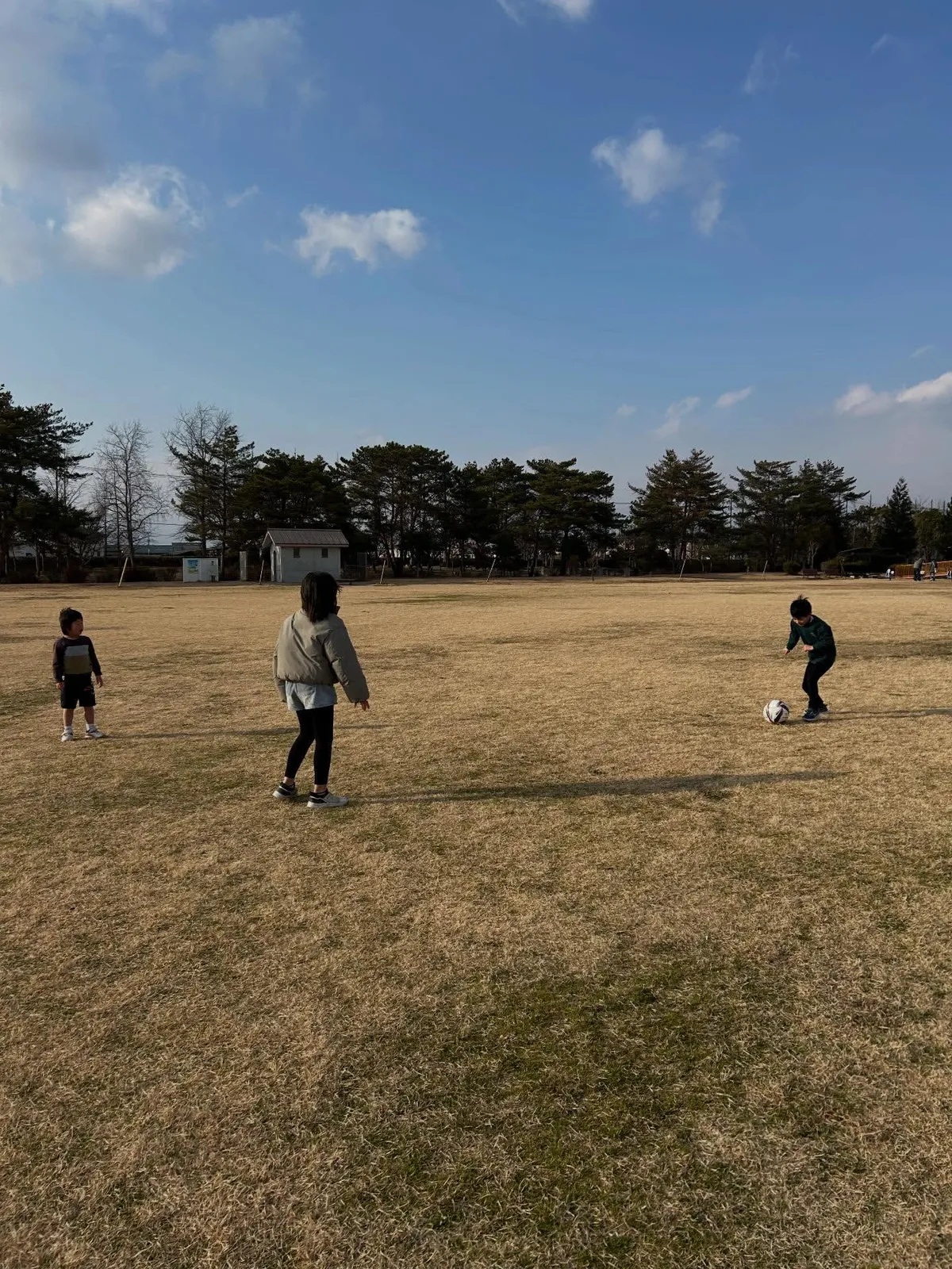 すりーえるの写真 10