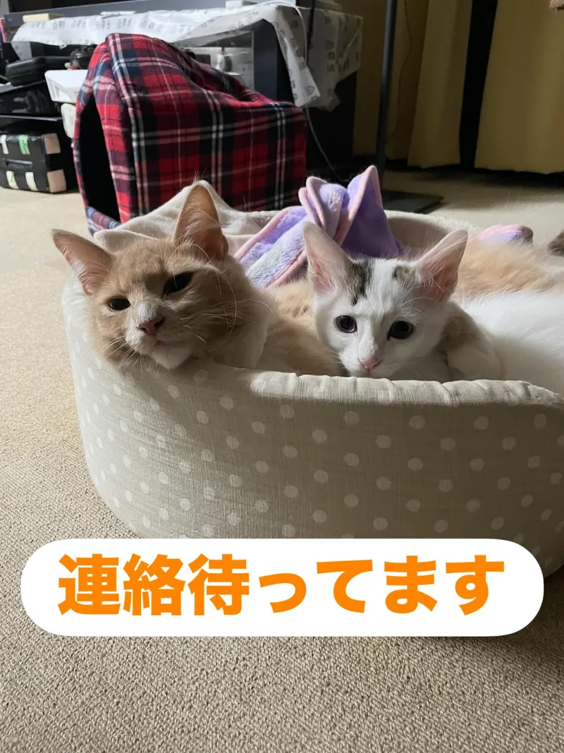 キッズゆうゆう_写真