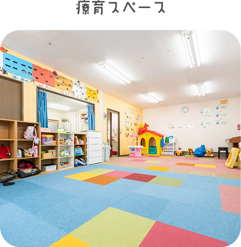 イルカネオ(NEO)_写真
