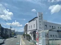 たけのこ_写真