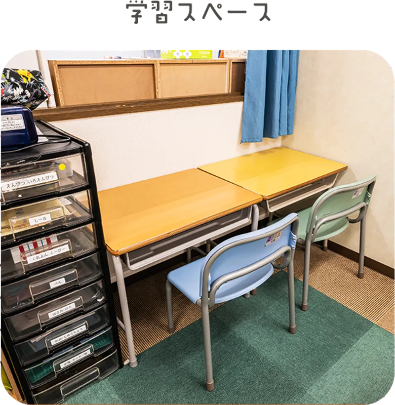 イルカ_写真