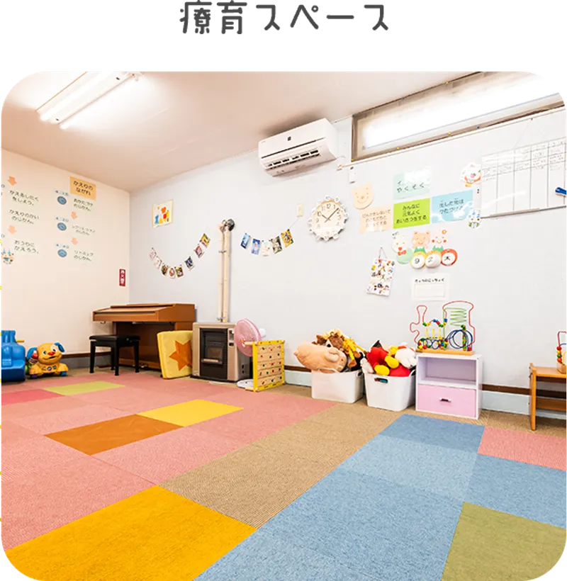 イルカ_写真