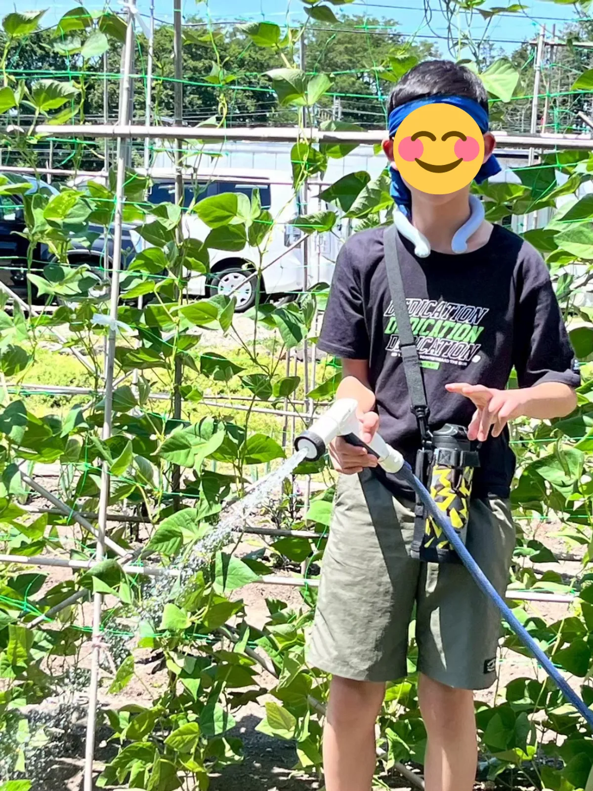 サンキッズ (Sun Kids)の写真 8