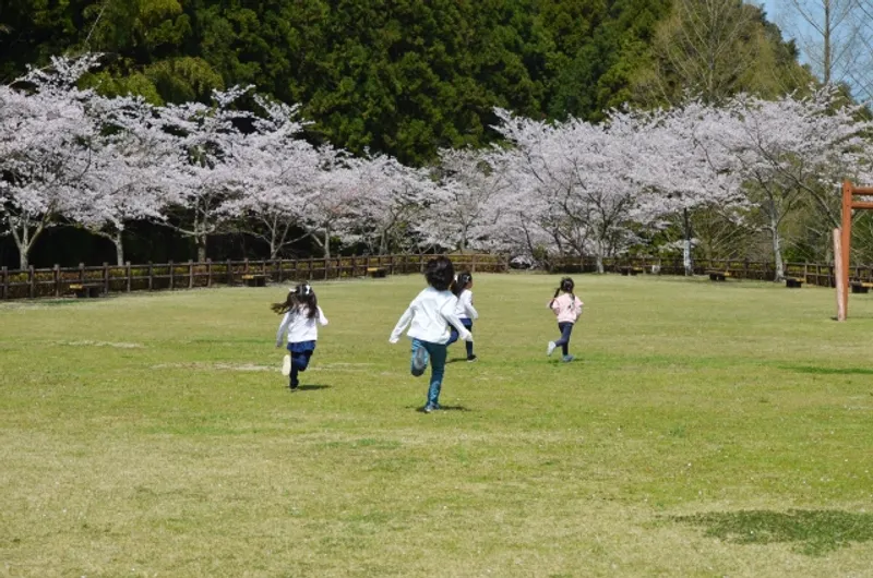 児童発達支援ikikata_写真