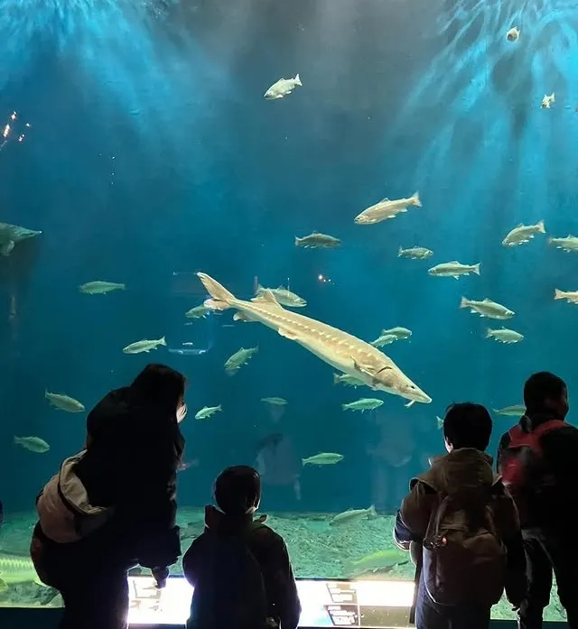 🎉【公園・動物園・水族館】祝日はお出かけ 🚌