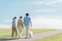 いるかくらぶ神戸_写真