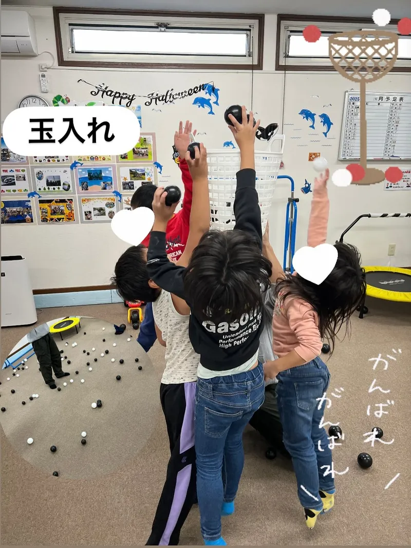 イルカ_写真