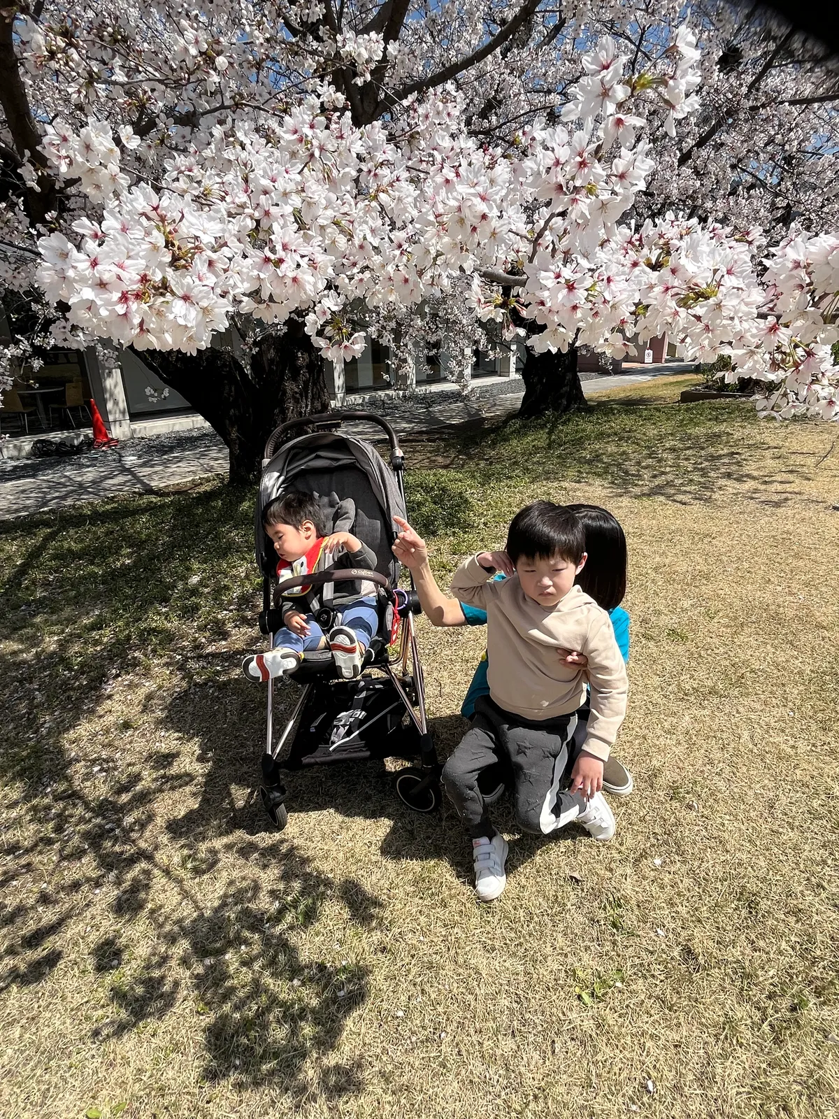 【重心・医療的ケア専門】えがおの写真 2
