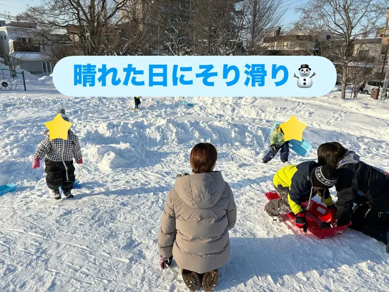 イルカ_写真