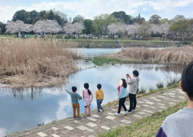 アプリで毎日の活動でご共有