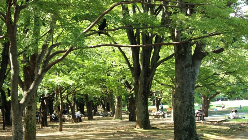 スタジオそら幡ヶ谷_写真