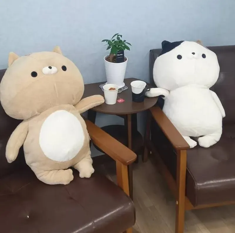 ぱすてるキッズ_写真
