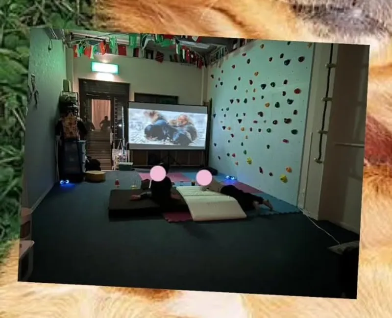 ココ (COCO) にこ_写真