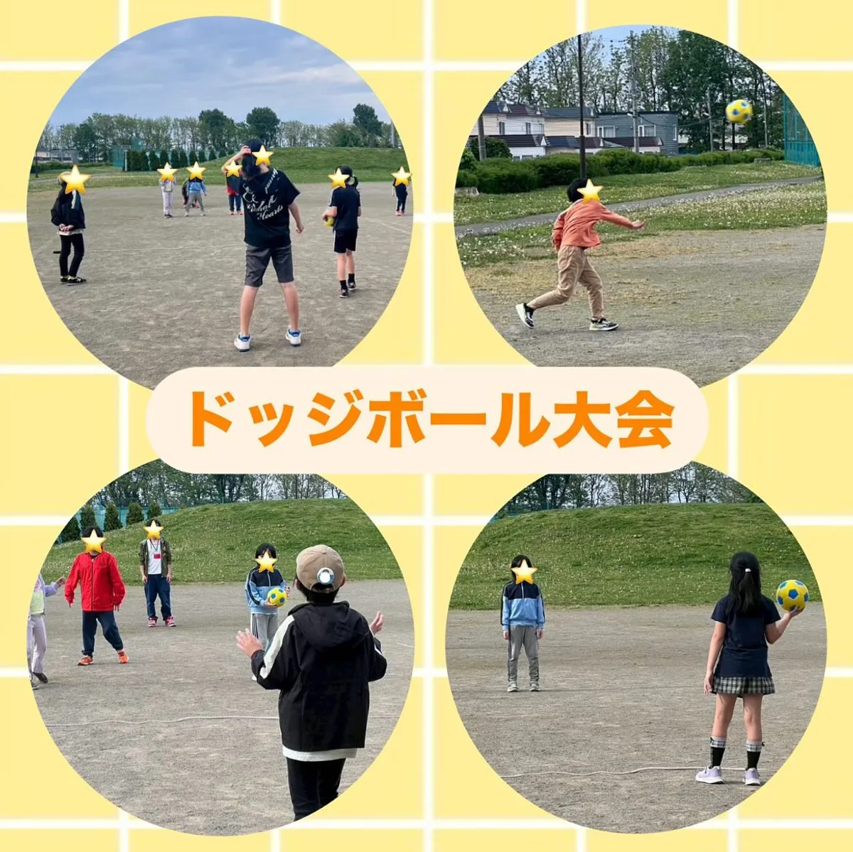 イルカネオ(NEO)の写真 15