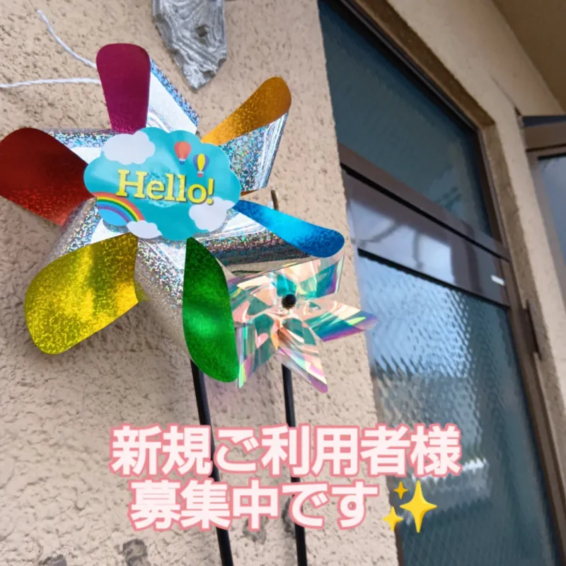 ひまわりのたね_写真