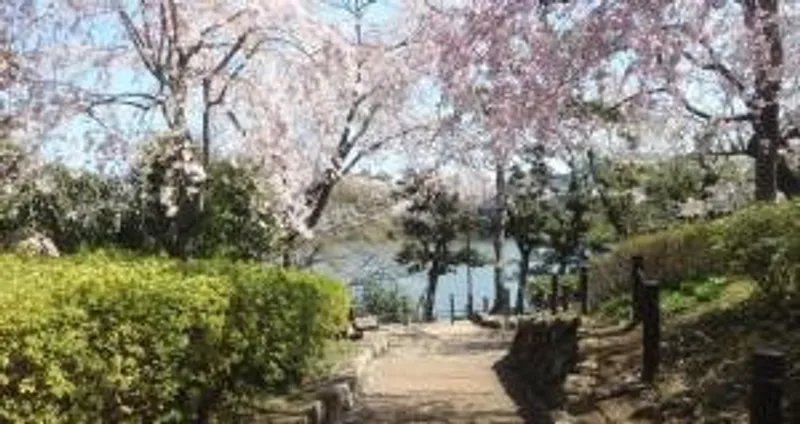 スタジオそら大岡山_写真