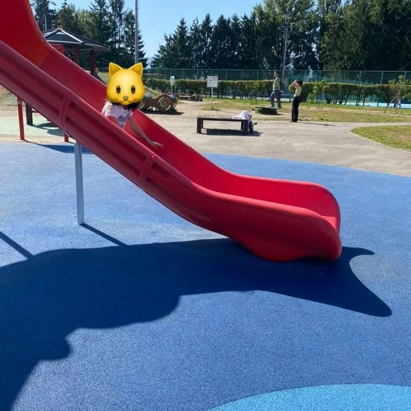 アトリのつばさ_写真