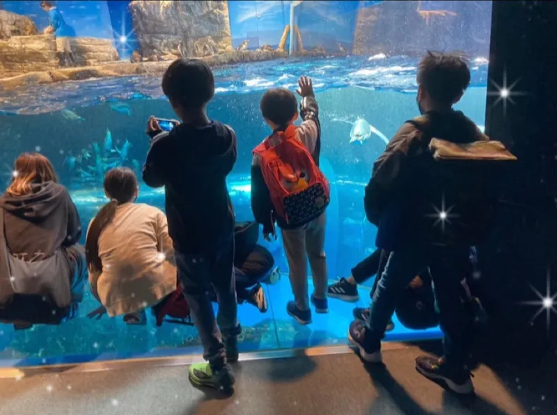 こどもハウス_写真