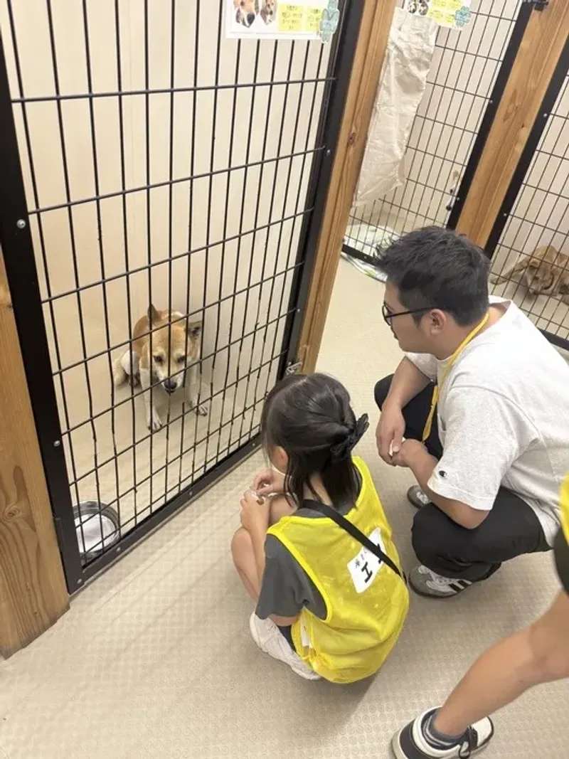 療育支援きらめき 福富西教室_写真