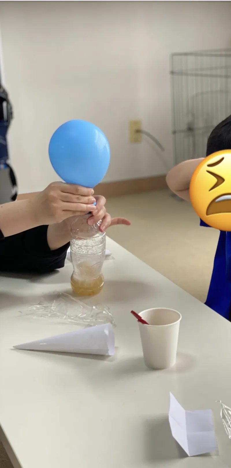 アトリのつばさ_写真