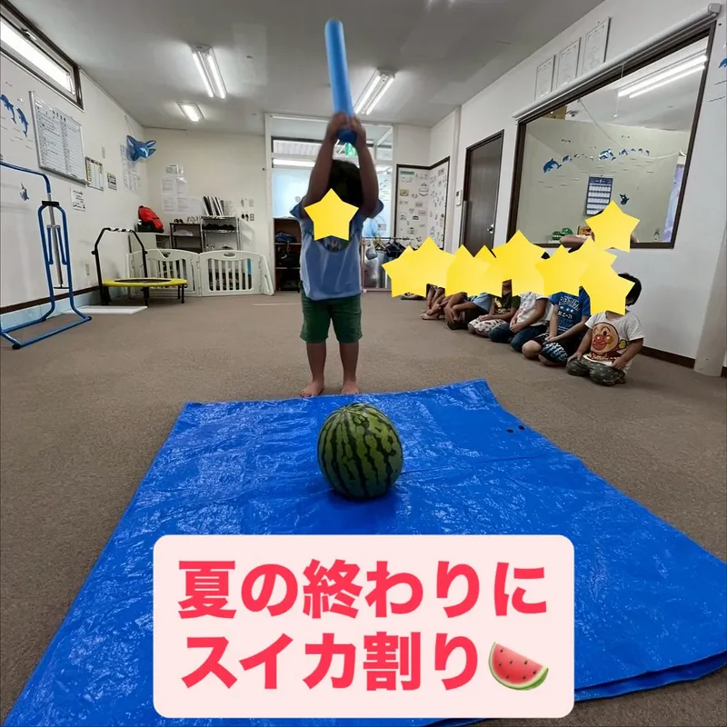イルカ_写真